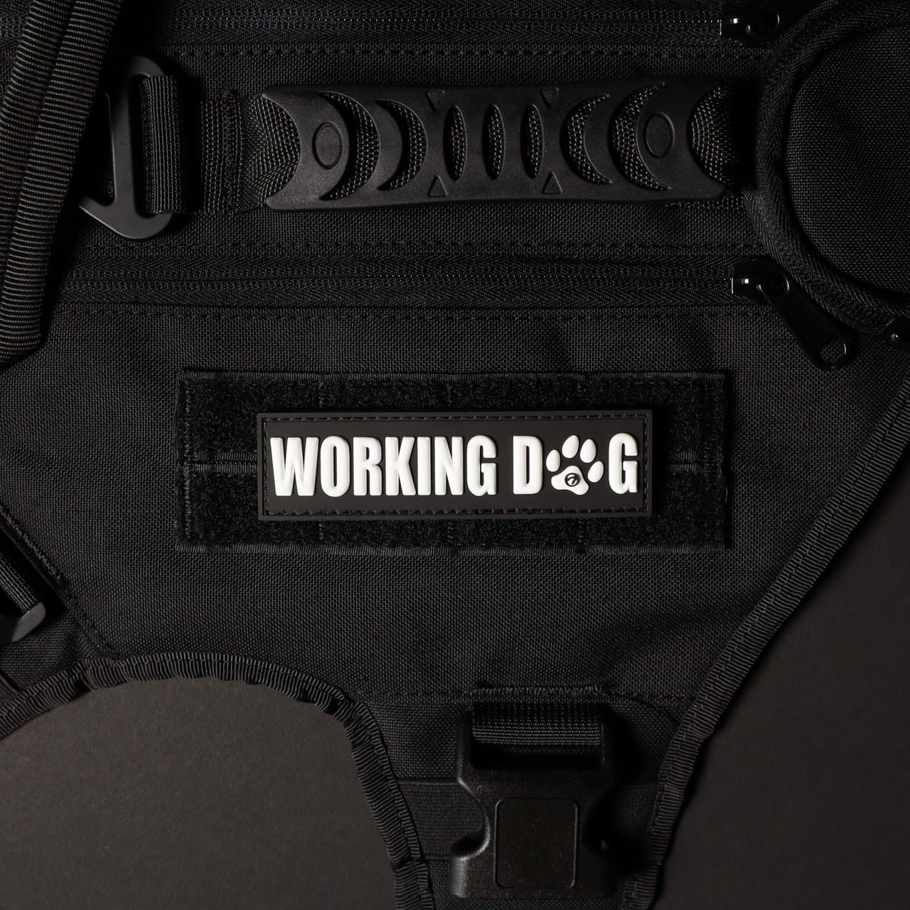 Working Dog w/White Paw