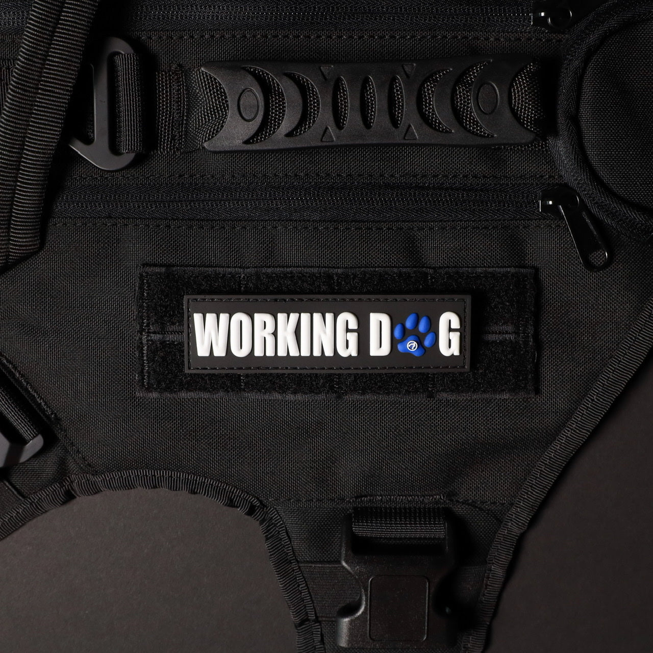 Working Dog w/ Blue Paw