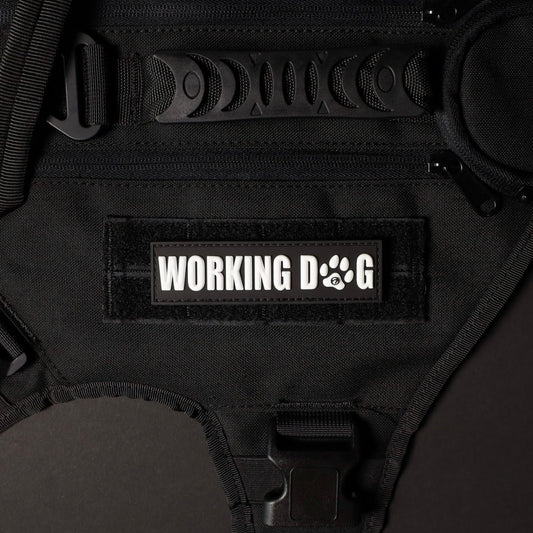 Working Dog w/White Paw