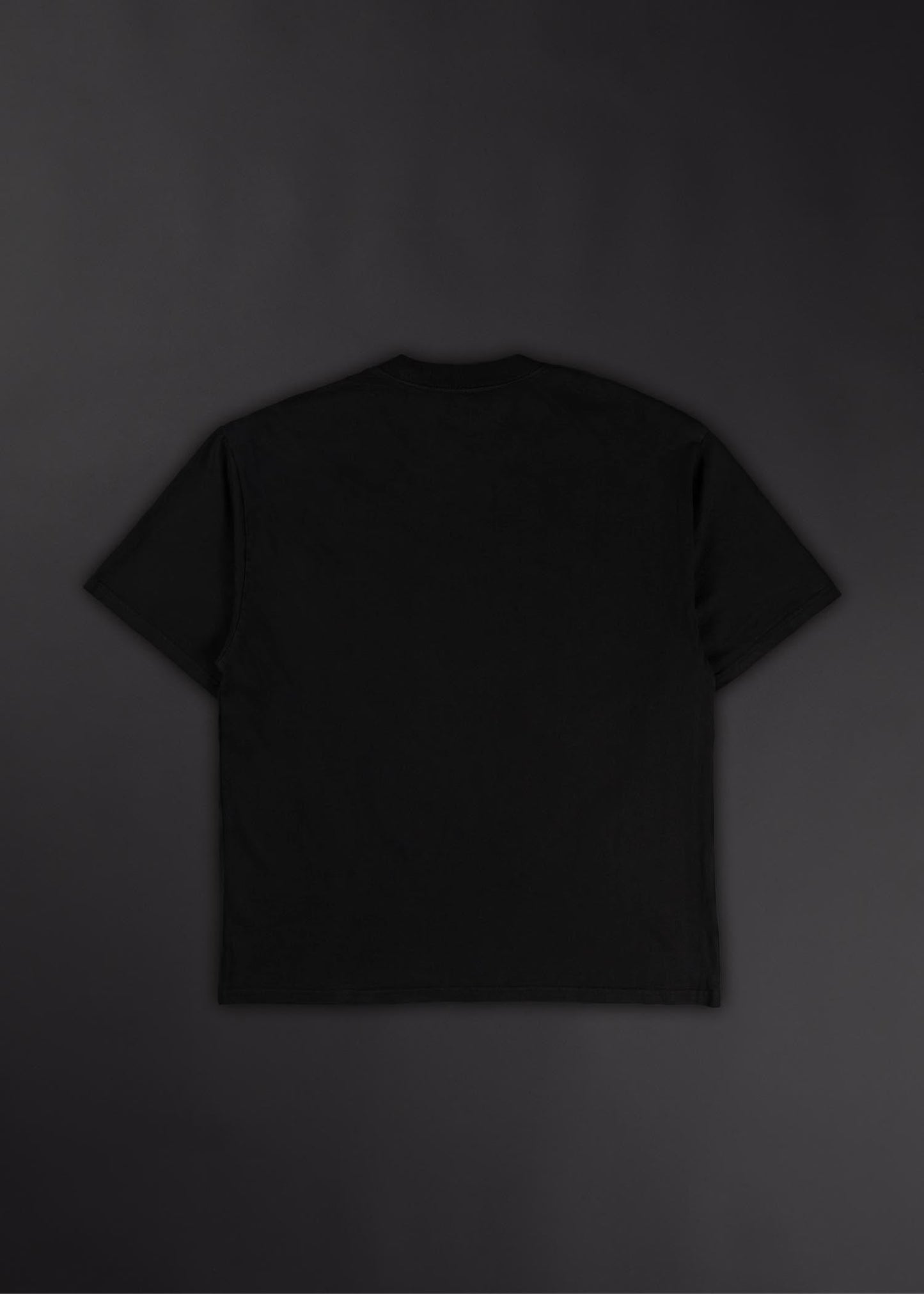 "Fallen" Dante's Inferno Graphic T-Shirt